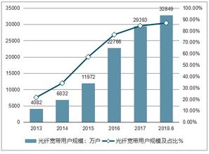 宽带网络基础设施市场分析报告 2019 2025年中国宽带网络基础设施市场研究与投资战略咨询报告 
